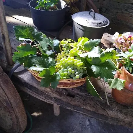 Semesterbostad Ribera Sacra *