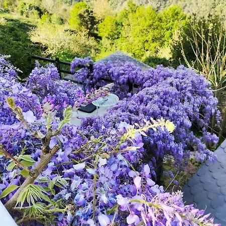 Feriehus Ribera Sacra Santa María