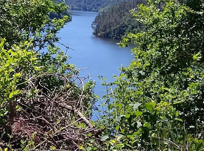 Ribera Sacra Tatil Evi *